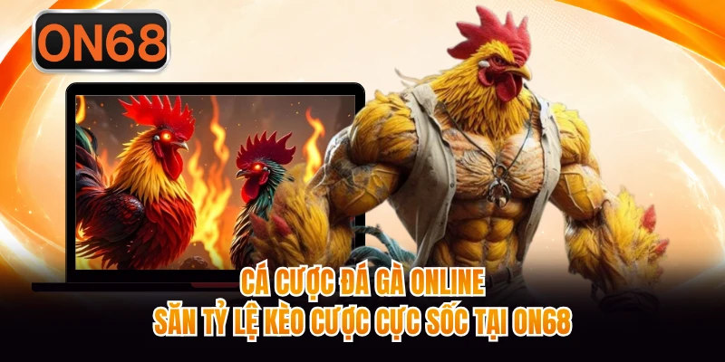 Cá Cược Đá Gà Online - Săn Tỷ Lệ Kèo Cược Cực Sốc Tại ON68