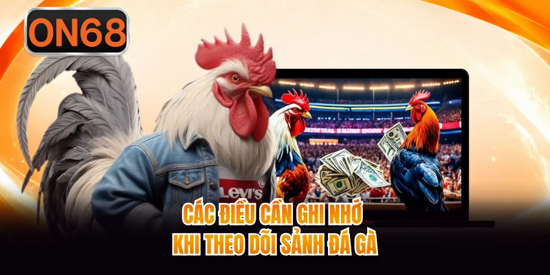 Các điều cần ghi nhớ khi theo dõi sảnh đá gà