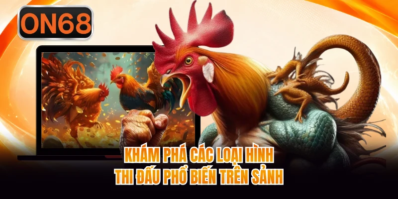 Khám phá các loại hình thi đấu phổ biến trên sảnh