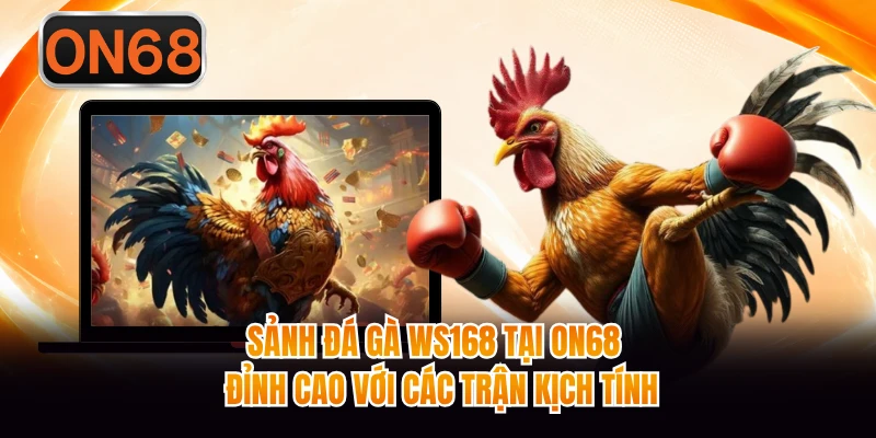 Sảnh Đá Gà WS168 Tại ON68 - Đỉnh Cao Với Các Trận Kịch Tính