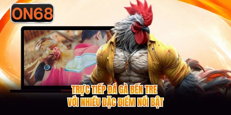 Trực tiếp đá gà Bến Tre với nhiều đặc điểm nổi bật